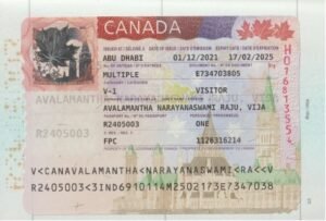 AN Vijayakumar Visa